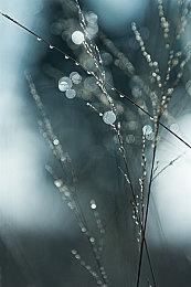 XGP十二月上旬新增游戏公布 《光环：无限》等